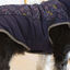 Outech Casaco Azul com Estampagem de Ossos para cães, , large Indicador imagem número 5